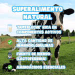 Calostro Bovino en polvo 100% natural de Vaca de Pasto - The Magic Cow