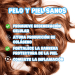 Calostro Bovino en polvo 100% natural de Vaca de Pasto - The Magic Cow